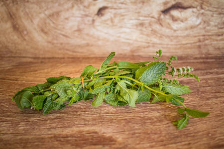 Menthe poivrée bouquet  BIO