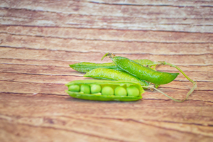 Petits pois  BIO