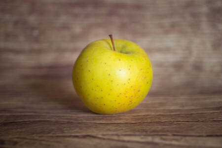 Pomme Pia  BIO