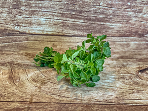 origan bouquet  BIO