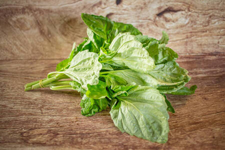basilic grand bouquet  BIO