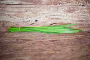ciboulail bouquet  BIO