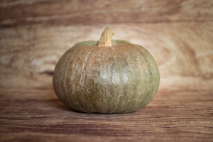 Courge bleue de Hongrie  BIO