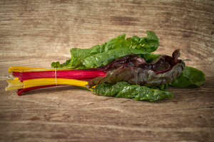 Côte de bette multicolore botte  BIO