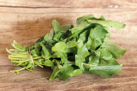 Roquette bouquet  BIO