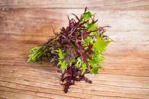 Salade asiatique mix piquant  BIO