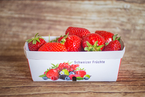 fraise 500 g BIO
