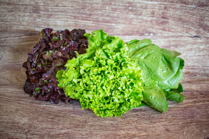 Salade du producteur surprise  BIO