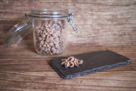 Coquillette blé-sarrasin  BIO