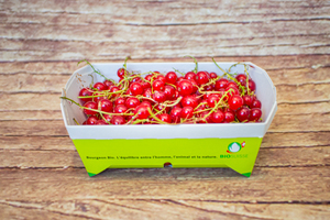 Groseille 200 g BIO