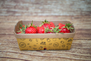 fraise 250 g BIO