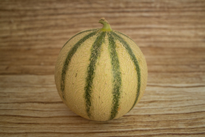 melon charentais  BIO