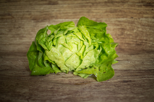 Salade pommée verte  BIO