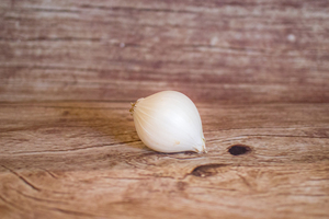 Oignon blanc/jaune  BIO