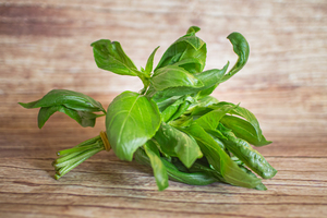 basilic bouquet  BIO